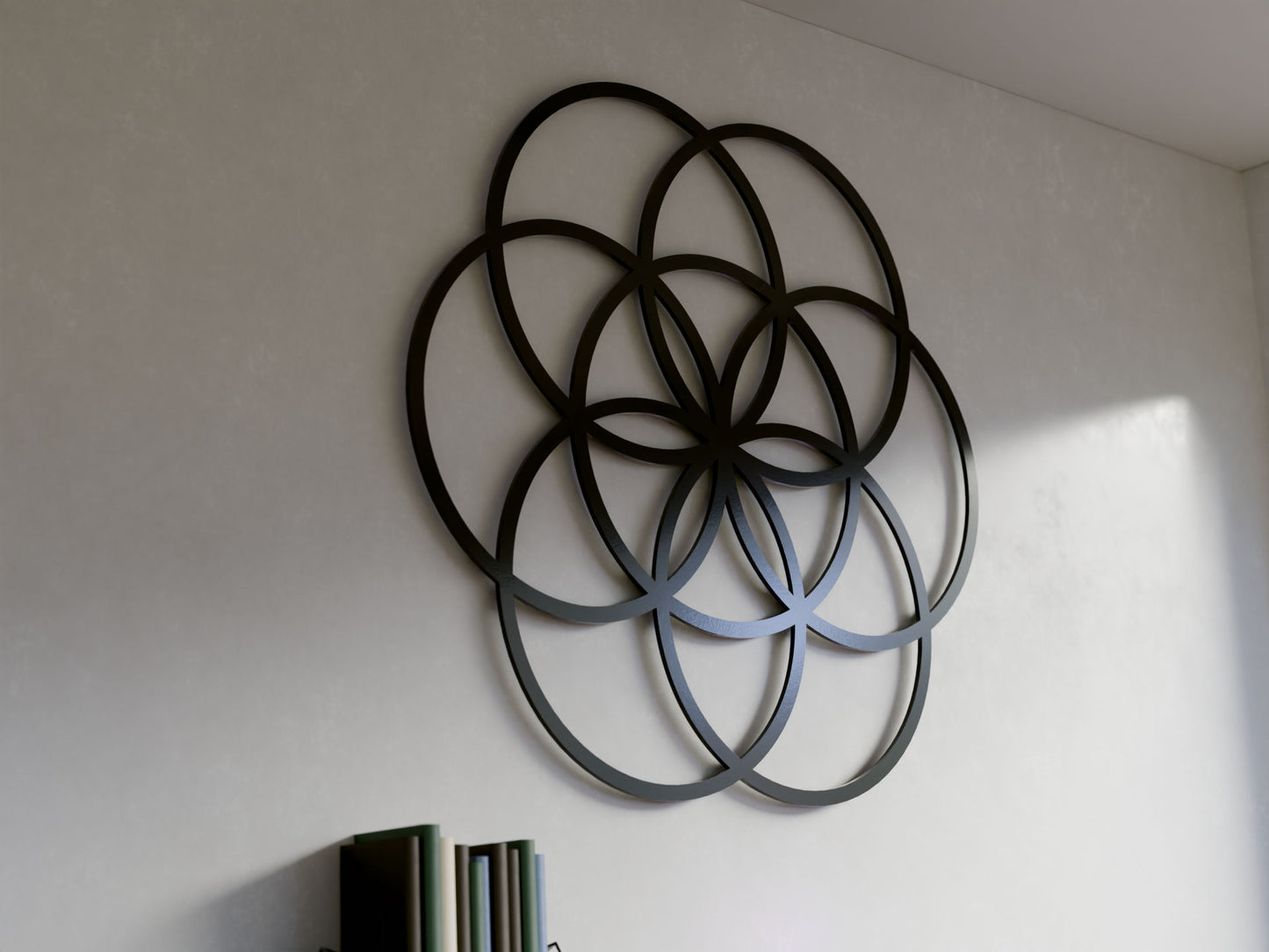 Concentric Circles