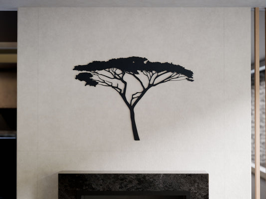 Acacia Tree